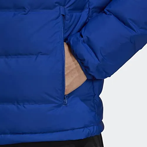 adidas mens Helionic Hooded Down Jacket Bold Blue X-Large