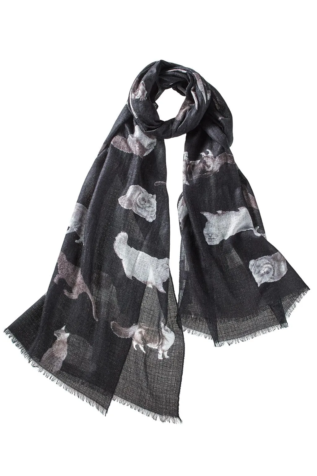 Cat's Meow Scarf - Black